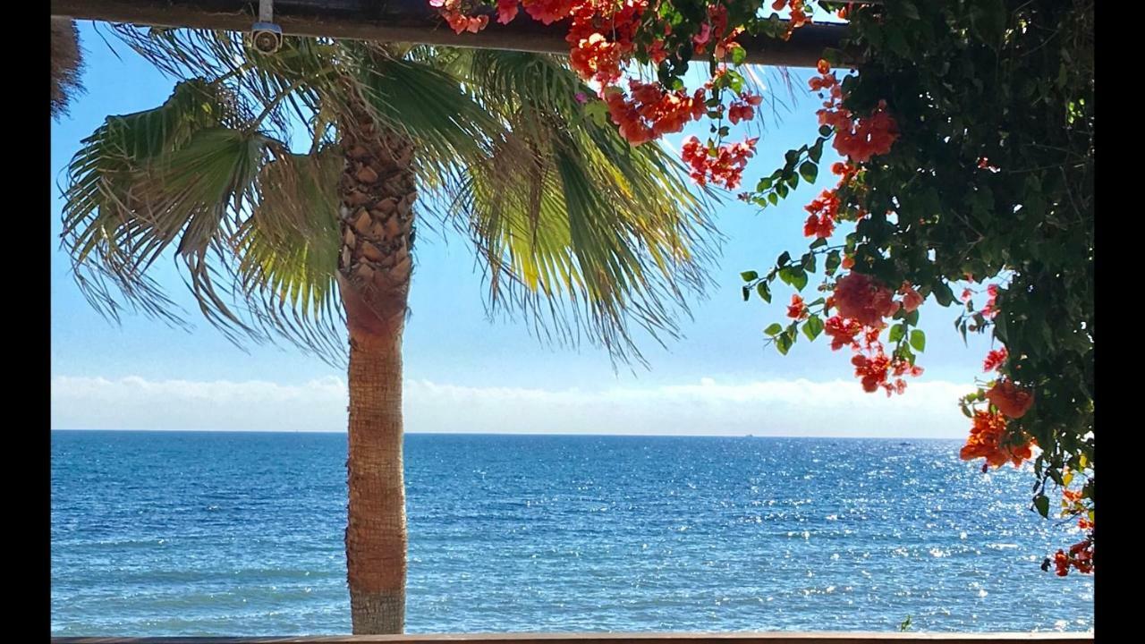 Mi Capricho 9C Beachfront- Apartment With Sea View - Costa Del Sol 卡拉德米哈斯 外观 照片